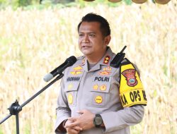 Dukung Ketahanan Pangan, Polres Parigi Moutong Panen Jagung Bersama Masyarakat