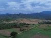 Tambang Rakyat Serbu Lahan Pangan: Masa Depan Parimo di Ujung Tanduk!