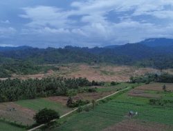 Tambang Rakyat Serbu Lahan Pangan: Masa Depan Parimo di Ujung Tanduk!