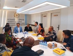 DPRD Palu Temui BKN dan Komisi II, Adukan Dugaan P3K Fiktif dan Perjuangkan 1.171 Honorer