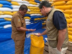 Bapanas Tinjau Gudang Bulog Tolai, Pastikan Kualitas Beras Bantuan di Parimo