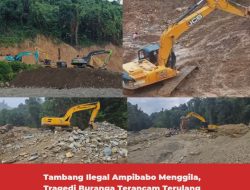 Tambang Ilegal Ampibabo Menggila, Tragedi Buranga Terancam Terulang