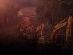 Usai Razia Tim Gabungan Polda Sulteng, Tambang Ilegal di Karya Mandiri Kembali Beroperasi