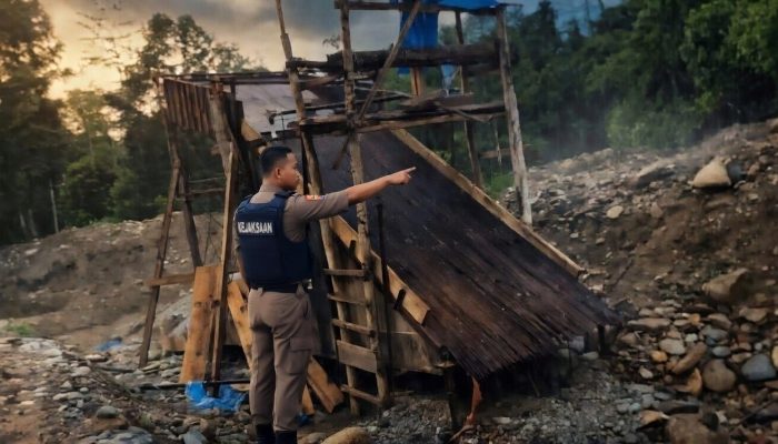 Talang Jumbo vs Keadilan, Kasus PETI Karya Mandiri Tak Kunjung Jalan