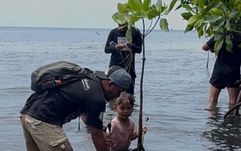 Bukan Seremoni, Hari Bumi di Parimo Diisi Gerakan Tanam Mangrove untuk Selamatkan Pesisir