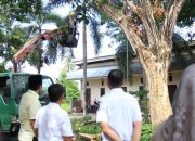 Bupati Parimo Tinjau Penebangan Pohon, Antisipasi Bahaya Pohon Tumbang