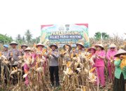 Kapolres Parimo Pimpin Panen Jagung dan Serahkan Alat Pertanian untuk Dukung Swasembada Nasional