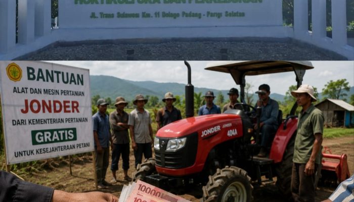 Dugaan Pungli Program Bantuan Alsintan, Dinas TPHP Parimo